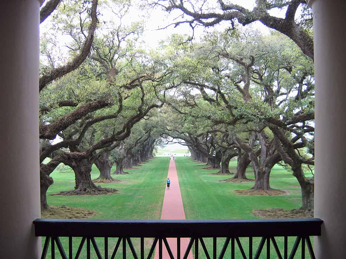 Oak-Alley-Plantation-Tour-From-New-Orleans-by-Grayline-Tours