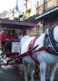 French Quarter Carriage Ride and Cemetery Tour