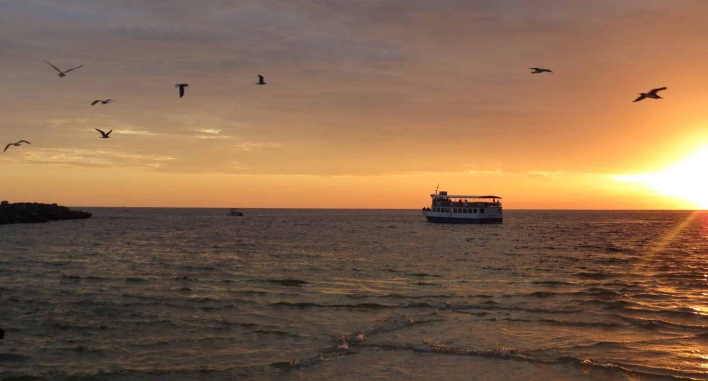 Sunset-Dolphin-Encounter-Aboard-Captain-Anderson-III
