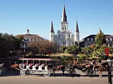 Historic New Orleans City Tour By Van with Celebration Tours