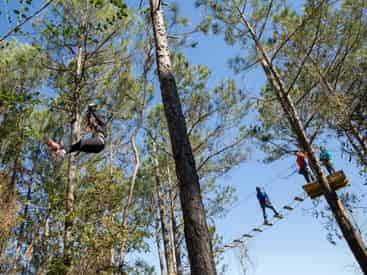 Gulfport Zip N Fun Adventure Park: Tree Top Afternoon Course