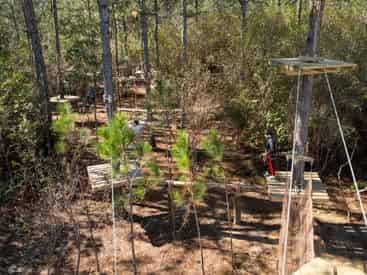 Gulfport Zip N Fun Adventure Park: Tree Top Afternoon Course