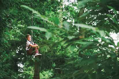 Go Ape! Treetop Journey Zipline Course North Myrtle Beach