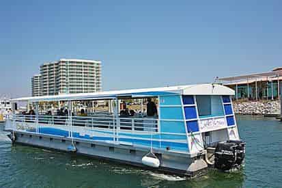 Caribe Cruiser Dolphin Tours Orange Beach
