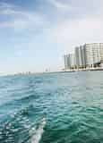 Caribe Cruiser Dolphin Tours Orange Beach