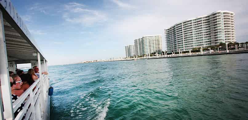 Caribe-Cruiser-Dolphin-Tours-Orange-Beach