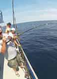 Afternoon Shark Fishing Aboard the New Inlet Princess