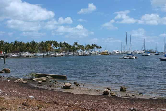 Biscayne-Bay-Boat-Tour-and-Everglades-Airboat-Excursion-by-Gray-line-Miami