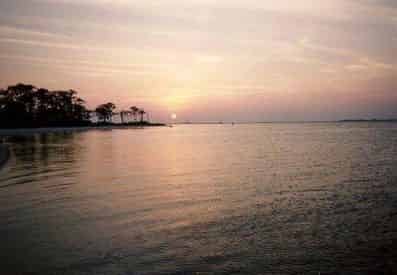 Small Group Dolphin and Eco-Tour Experience - Panama City Beach