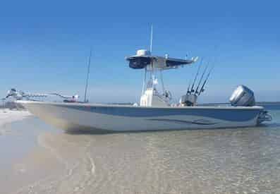 Small Group Dolphin and Eco-Tour Experience - Panama City Beach