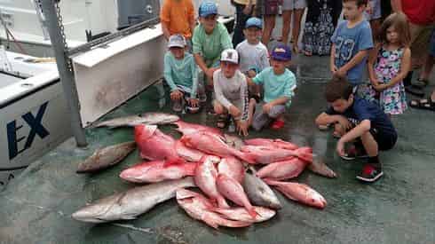 Charter Boat Phoenix Deep Sea Fishing Excursion
