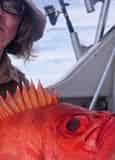 Private Fishing Excursion with Into The Blue