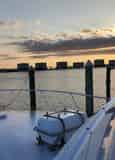 Private Dolphin Cruise with Into The Blue