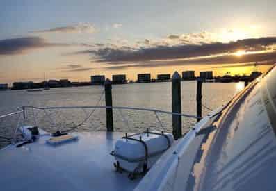 Private Dolphin Cruise with Into The Blue