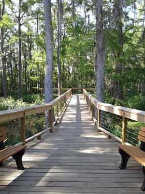 Honey-Island-Swamp-Tour-With-Optional-Transportation-By-Cajun-Encounters