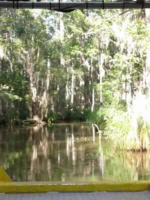 Honey-Island-Swamp-Tour-With-Optional-Transportation-By-Cajun-Encounters