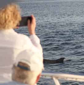 Orange Beach Private Sailing Tour