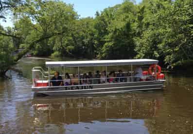 VIP Swamp Experience With Optional Transportation