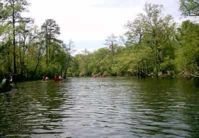Blackwater River Tubing Trip