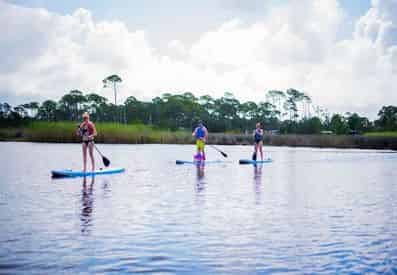 Family Paddle and Kayak Tour
