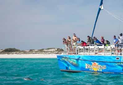 Panama City Beach Shell Island Dolphin and Snorkel Cruise