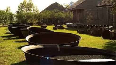 Small Group Tour of Laura Plantation with Transportation from New Orleans Hotels