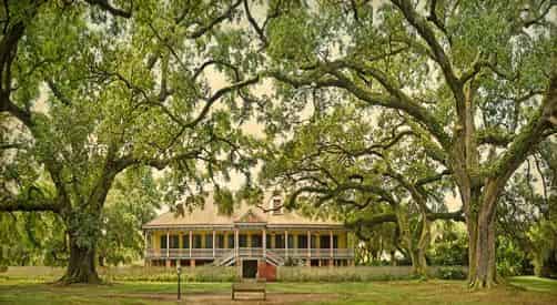 Small Group Tour of Laura Plantation with Transportation from New Orleans Hotels