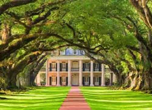 Oak-Alley-or-Laura-Plantation-Tour-From-New-Orleans-By-Southern-Style-Tours