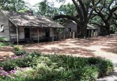 Laura & Oak Alley Plantation Tour with Transportation from New Orleans Hotels