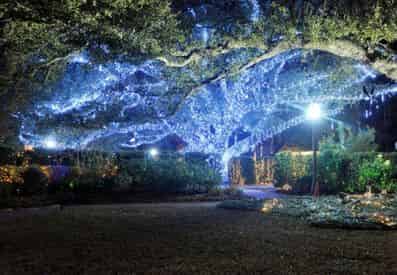 Celebration in the Oaks New Orleans' City Park Holiday Tour