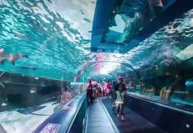 Ripley's Aquarium PLUS You Pick One COMBO