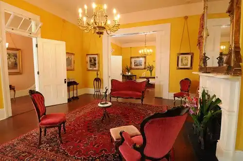 Guided-Tour-of-Edgar-Degas-House-Creole-Impressionist