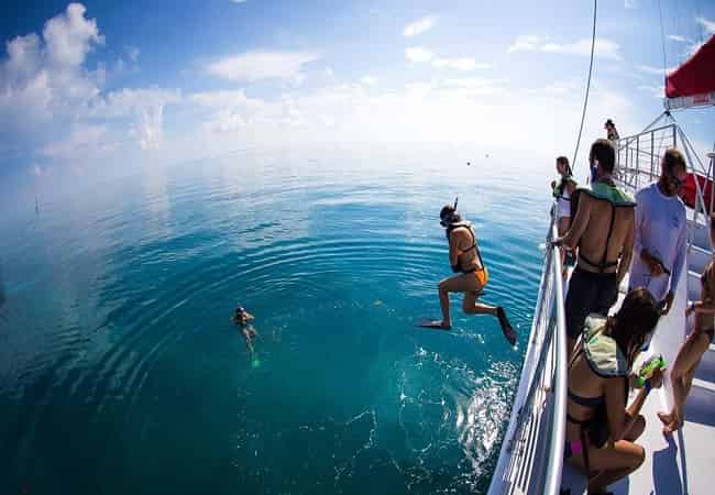Rise-and-Reef-Snorkel-Trip-with-Breakfast-by-Sunset-Watersports