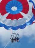 Historic Harbor Parasailing Key West