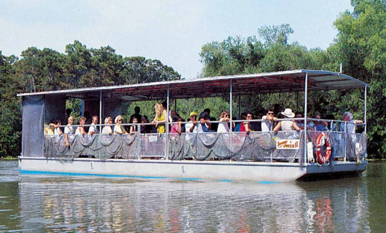 Jean-Lafitte-Swamp-and-Bayou-Tour-with-Optional-Transportation