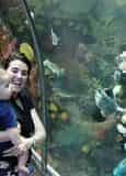 New Orleans Aquarium of The Americas Admission Tickets