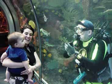 New Orleans Aquarium of The Americas Admission Tickets