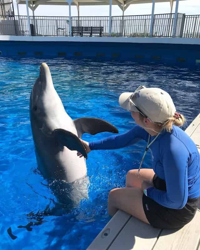 Discover-Dolphins-Encounter-at-Gulfarium-Marine-Adventure-Park