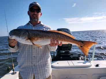 4-Hr Inshore & Flats Fishing Charter with Light Tackle Adventures