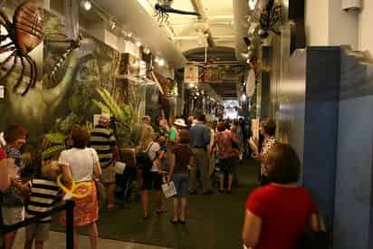 New Orleans Audubon Butterfly Garden & Insectarium Admission Ticket
