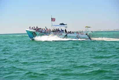 SeaQuest Dolphin Sightseeing Tour