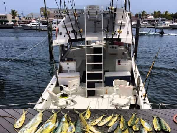 Half-Day-Split-Charter-Fishing-by-Captain-Conch-Charters