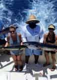 Half Day Split Charter Fishing by Captain Conch Charters