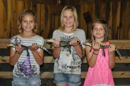 Airboat Adventures from New Orleans with Optional Transportation