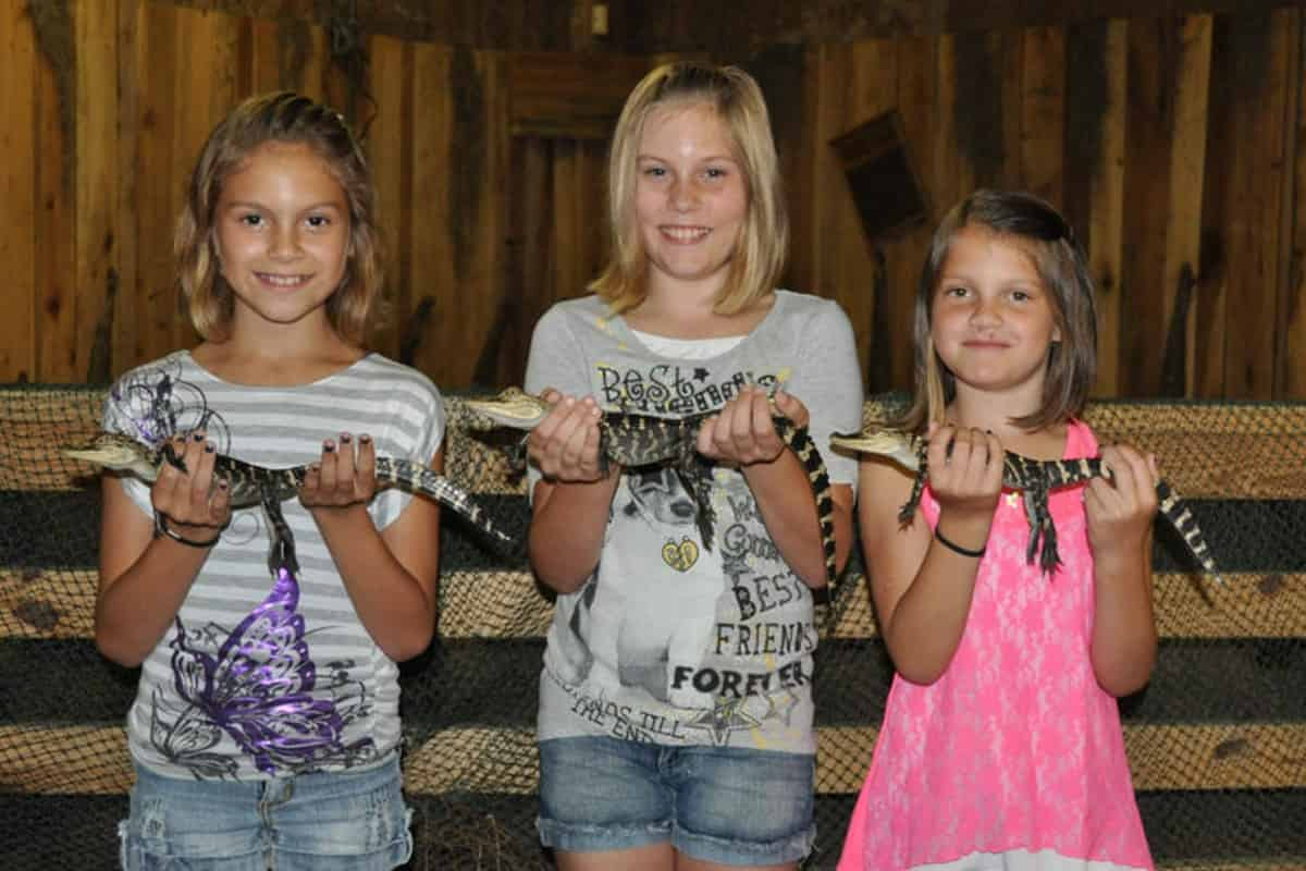 Airboat-Adventures-from-New-Orleans-with-Optional-Transportation