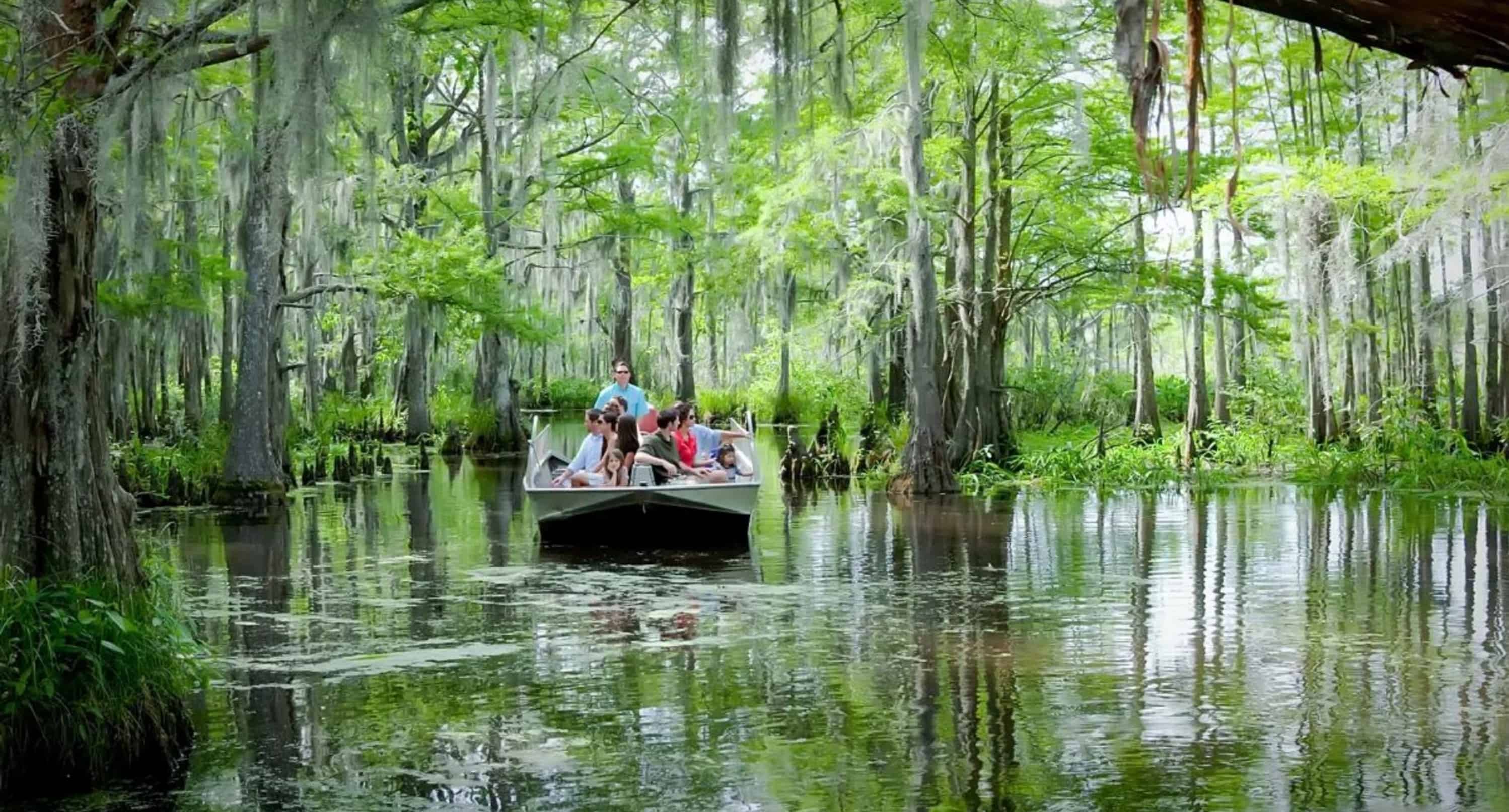 Honey-Island-Swamp-Tour-With-Optional-Transportation-By-Cajun-Encounters