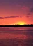 Orange Beach Dolphin & Sunset Cruises Aboard Sunny Lady
