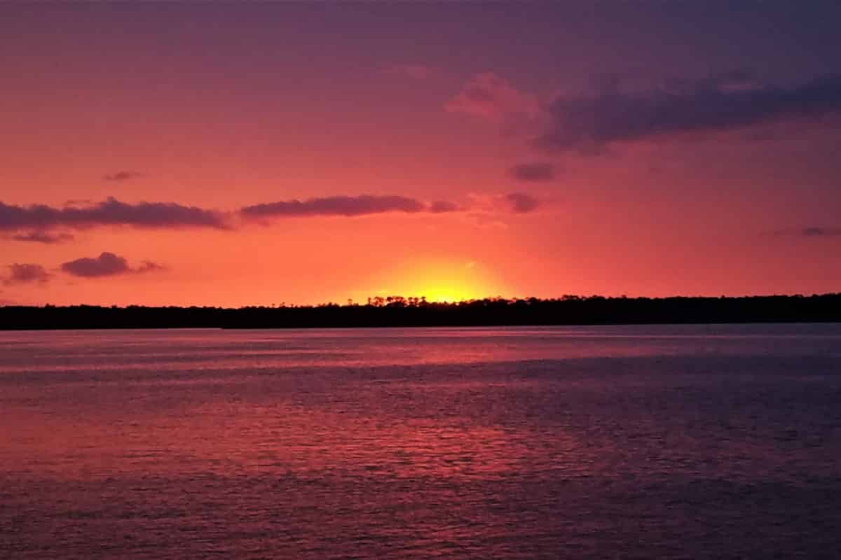 Orange-Beach-Dolphin-and-Sunset-Cruises-Aboard-Sunny-Lady