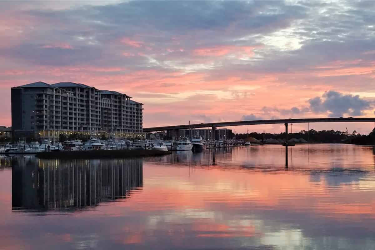 Orange-Beach-Dolphin-and-Sunset-Cruises-Aboard-Sunny-Lady