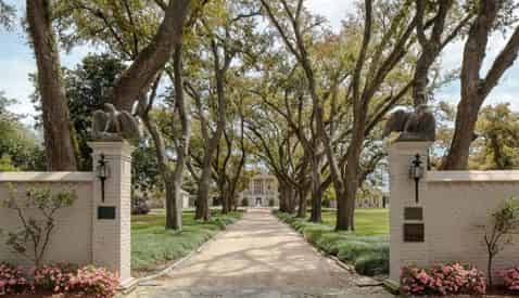 Historical New Orleans City & Mansion Tour with Tours By Isabelle